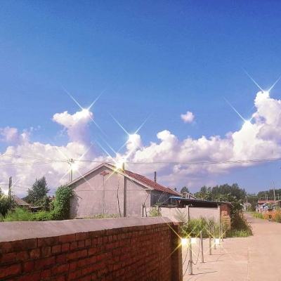 bob综合app官方下载