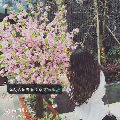 2023澳门管家婆资料正版大全手机app下载