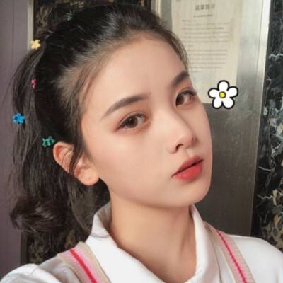 香港2023正版免费资料